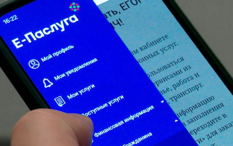 Электронный формат подачи заявлений и его возможности