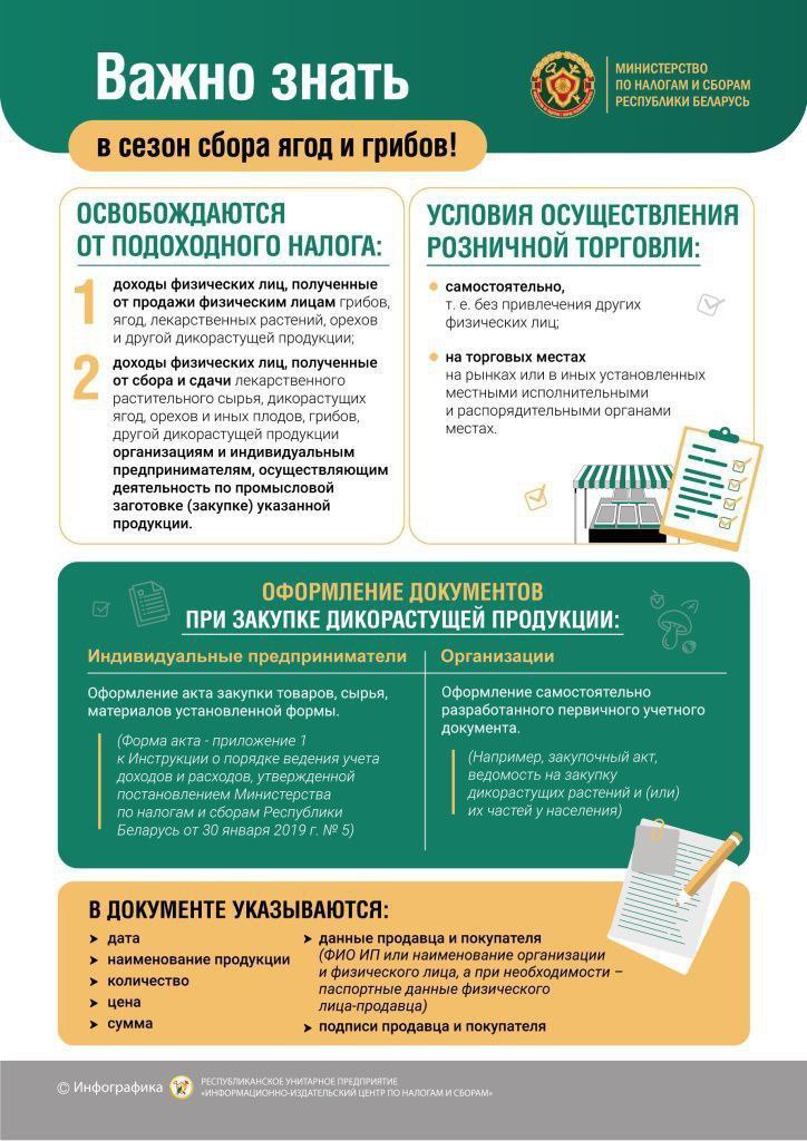 Сбор лесных ягод и грибов. Что важно знать?