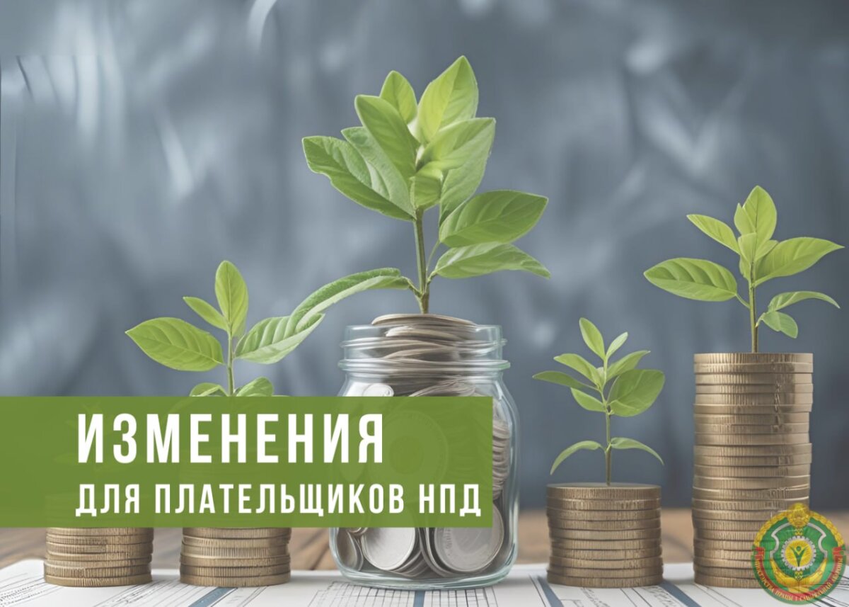 Что изменится для плательщиков НПД? Разъясняем основные изменения