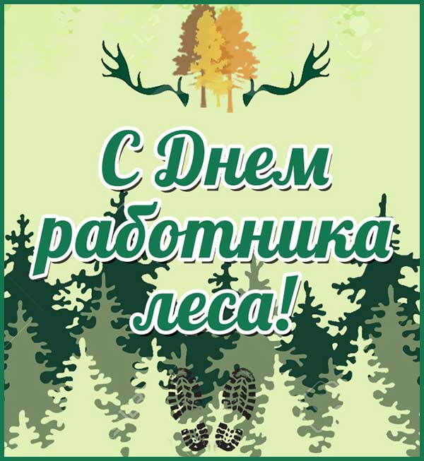 Дорогие коллеги, уважаемые ветераны труда Кличевского лесхоза!