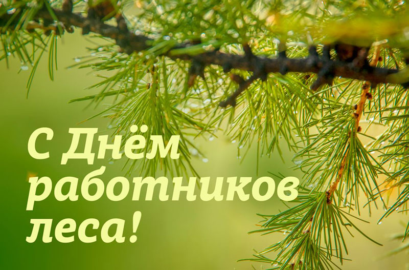 Уважаемые работники и ветераны лесной отрасли!