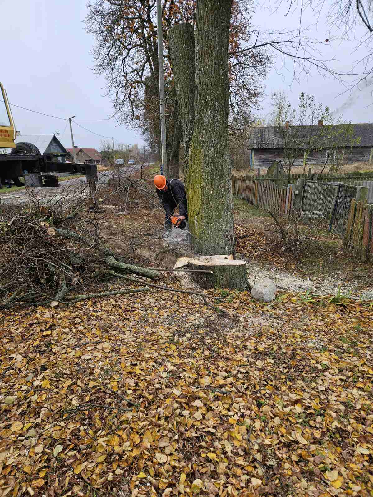 В районе вырезают опасные деревья