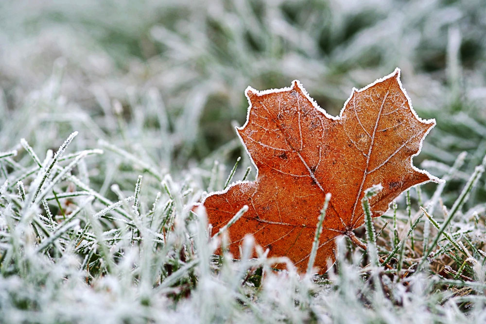 Новшества по кредитам, лимиты по картам и большие выходные. Рассказываем, что ждет нас в ноябре