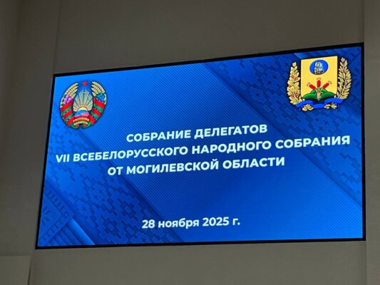 Курс на развитие: о чём говорят на ВНС в Могилёве