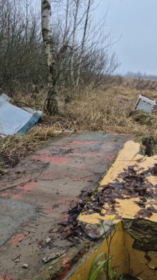 Одно из предприятий района устроило свалку строительного мусора прямо у дороги