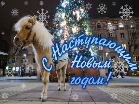 Поздравление с Новым Годом председателя Могилёвского областного исполнительного комитета Анатолия Михайлович Исаченко