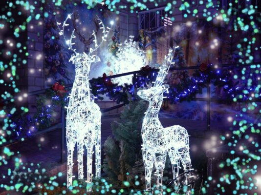 В Кличевском районе стартует конкурс на лучшее новогоднее оформление