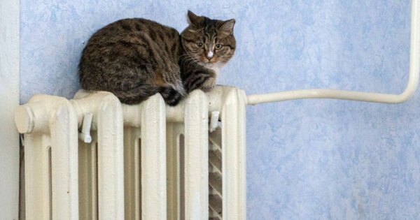 Подготовка к новому отопительному сезону