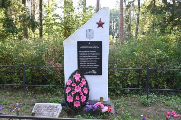 Тайна захоронения в Несяте раскрыта