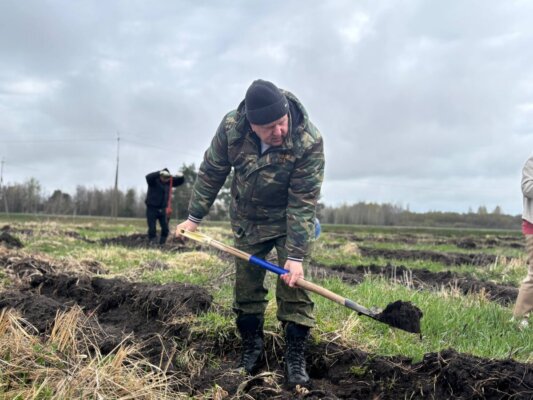 Трудовая суббота прошла на Кличевщине