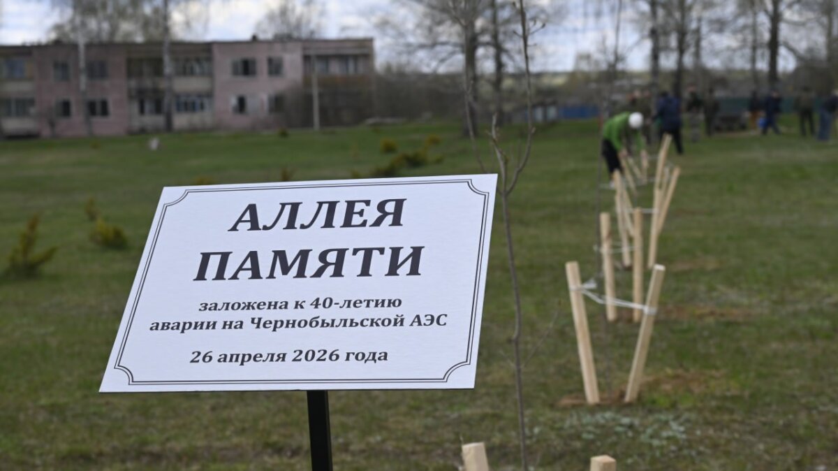 Памятную аллею к 40-летию Чернобыльской трагедии высадили в агрогородке Долгое