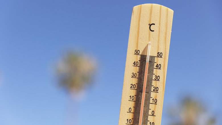 Лето 2026 года может стать одним из самых жарких в истории Беларуси