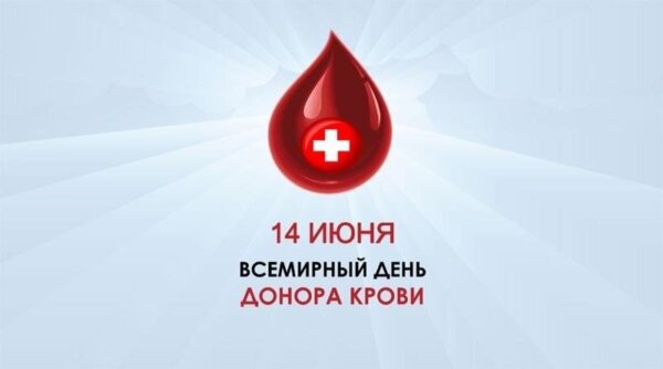 Спасая жизни: как стать донором крови в Беларуси