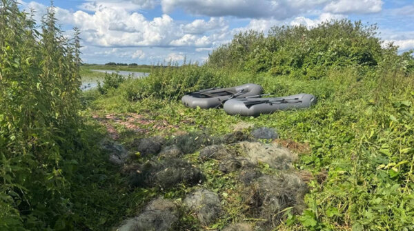 Бобруйчанин незаконно выловил рыбы на 11 тысяч рублей — в наказание получил не только штраф