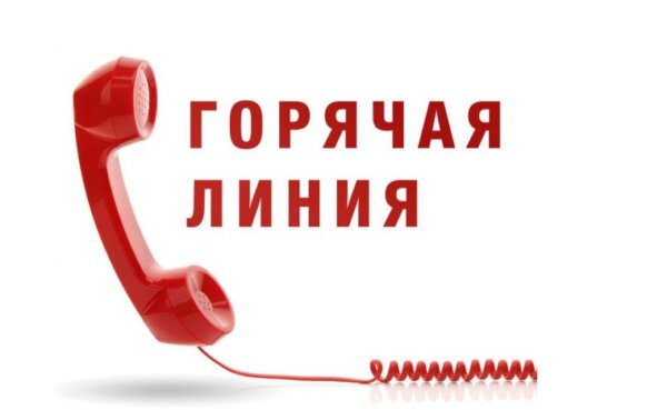 Тематическая горячая линия пройдёт 11 сентября